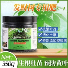 盆栽发财树专用肥料家庭有机花肥防黄叶烂根复合肥植物通用颗粒肥