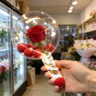 �F؛���������������˹�õ�廨���b�Ʒ����DIY����͸��������