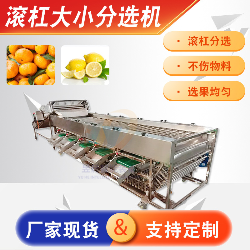大型橘子柠檬大小滚杠分选机 全自动分选机流水线 果蔬筛选分级机