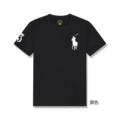 Black and white horse