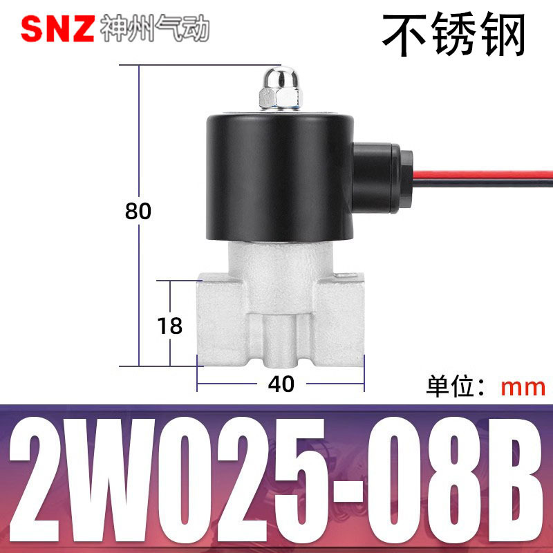 Stainless steel, 2W, 220v
