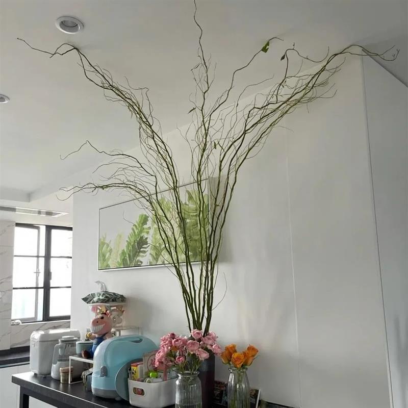German Imported Golden Willow Fresh Branches Easy to Root and Grow Leaves for Living Room Display Ins Lazy Hydroponic Green Plant Snow Willow Dragon Willow