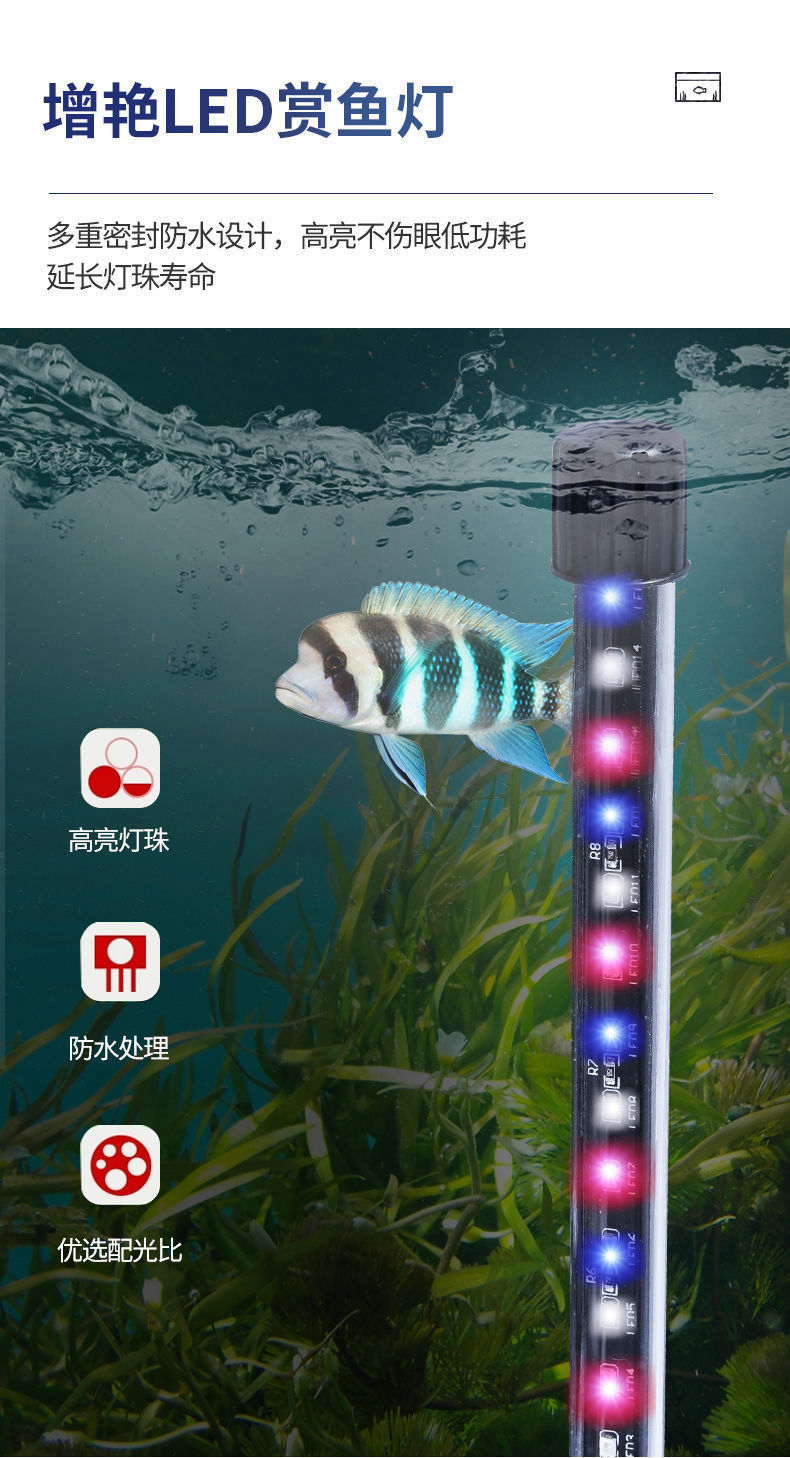 ee9e2310-e0c2-44fc-a801-e598e3add0ce.jpe