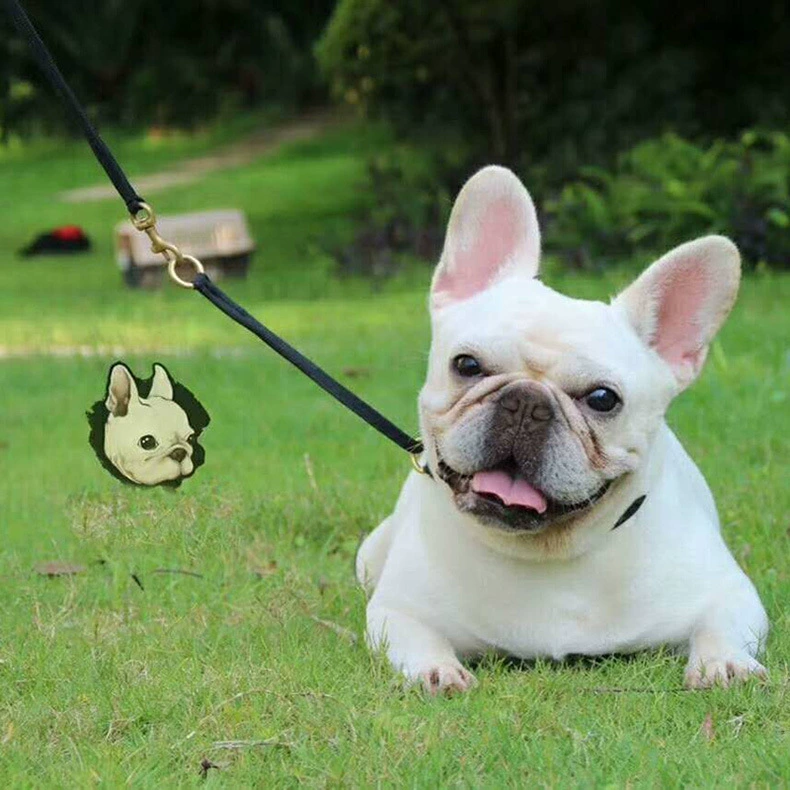 Тяговая веревка для собак Новый желтый гоночный контроль P Цепь для дрессировки собак Золотистый ретривер Граница Сацума Пасторальный Средний ошейник для собак