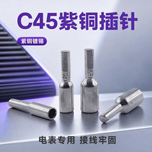DTA全铜插针紫铜镀锡接线端子C45空开冷压端子 DTD电表专用插针