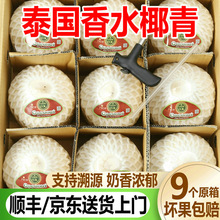 泰香水椰青新鲜椰子一整箱去皮孕妇奶香椰宝大果现货顺丰包邮
