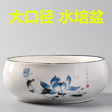 水仙花盆陶瓷特价大号无孔铜钱专用一叶莲碗莲盆多肉大口径水培