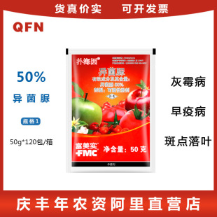 ������ �亣�� ������ �O��â���߲˻�ù���ڰ߲����˲�������50g