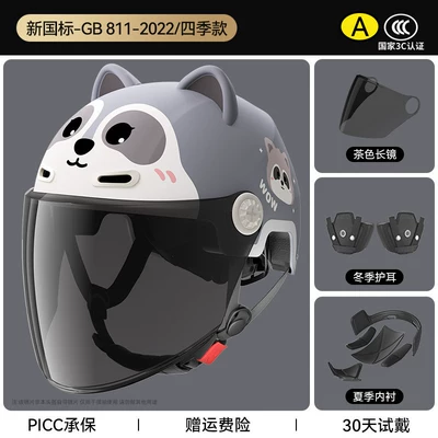 Motorcycle Safety Supplies: Four-Season Helmet TK02 - naughty-raccoonsun-protection-glasseswith-detachable-ear-protection-for-all-seasons