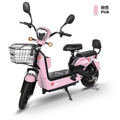 メーカー卸売り金鷹48V二人電動クロスボーダー東南アジア車電動自転車軽自動車
