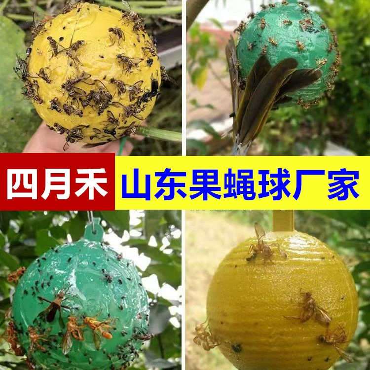 Плодовые шарики плодовой мухи для фруктовых деревьев