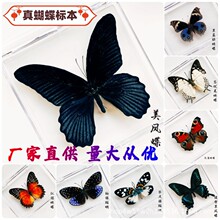 ������˱����������b ����С�[����͸�����׃����ս̲� ���նY��