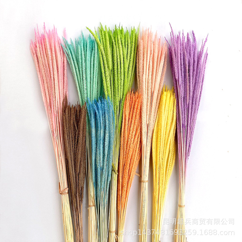 [Kirin grass dried flower] Yunnan dried flower Kirin grass little…