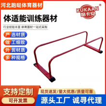 儿童体适能爬行架感统训练器材体操亲子运动器材体适能教具