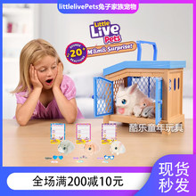 ����little live Pets���ӌ������Ӌ�������ë�q��ż��ͯ�����ë