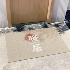 Entrance door mat, entrance hall, stain-resistant, anti-slip, dust-removing creative ins wire loop carpet floor mats