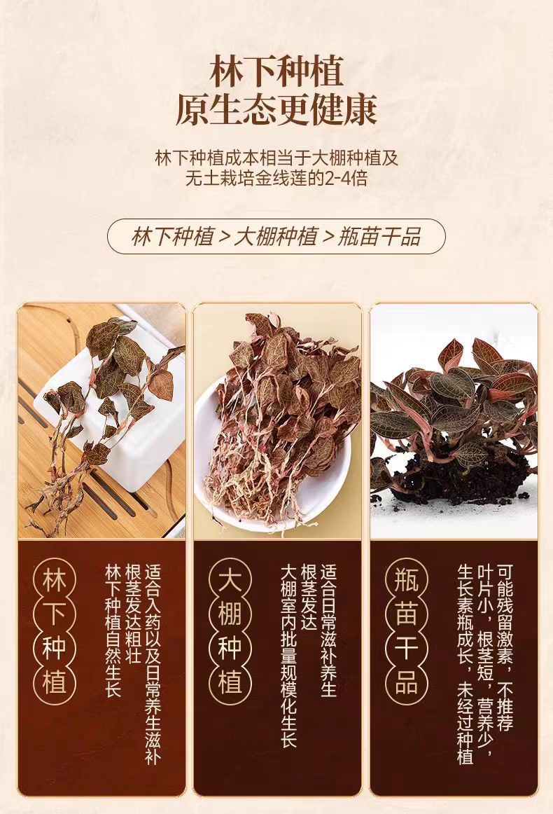 Jin Xian Lian Dried Anoectochilus Whole Herb 10g Bottle Fujian Golden Thread Herb for Tea and Decoction key features