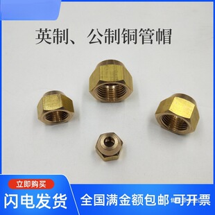 �~�{�ӿ��{�~��ĸ ���ȿ���ñ���{�U����ĸ�~���iĸ��ñ�������