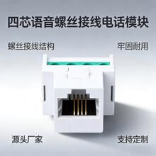 四芯语音电话模块 螺丝接线式 CAT3 语音信息模块弱电综合布线工