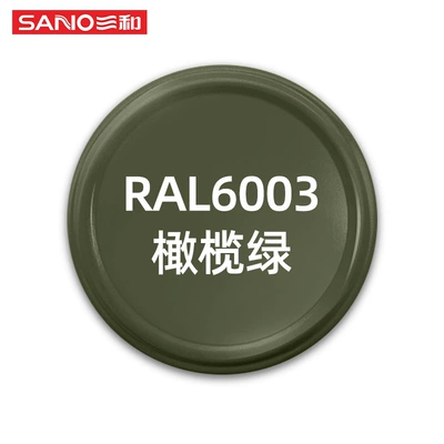 Sanhe Hand Spray Paint for Avtomobil boya qələmləri - 480ml-ral-color-series-ral6003-olive-green