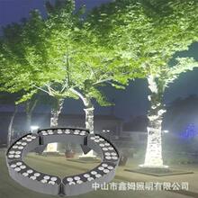 LED�������ˮ�՘����ͥԺ���^�@��ֲ���������Sֱ�����ⳬ��
