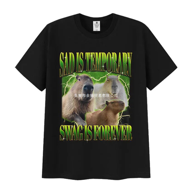 Sadness Is Temporary, Swag Is Forever Printed T-Shirt for Men and Women, Funny Capybara Humor Style T-Shirt Summer Sadness Is Temporary, Swag Is Forever Printed T-Shirt for Men and Women, Funny Capybara Humor Style T-Shirt Summer