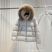 1:1�컨���ﶬ25fwŮʿСA�̿�ë�I�Bñ��q������NFC