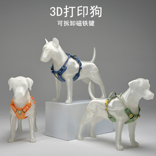 Creative dog model 3D pet model display props personalized pet supplies shooting transparent dog model