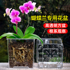 アクリル透明方盆はガラスの四角い植木鉢のプラスチック栽培鉢蝶蘭専用植木鉢家庭用植木鉢に似せている