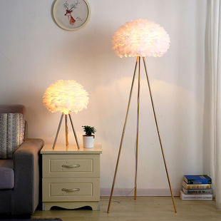 Feather Floor Lamp Nordic Light Luxury Living Room ins Girls Internet Famous Princess Live Room Simple Bedroom Bedside Table Lamp