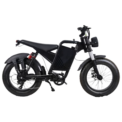Shock Absorbers and Off-Road Tires, Elektrikli motosikletlər