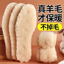 真羊毛秋冬季防寒保暖鞋垫男女款软弹久站不累舒适不掉毛吸汗除臭