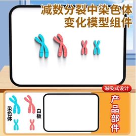 教学演示用品;教学仪器;数理教学器材