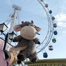 ����ţ�R������ż��ţ����ë�q���Сţ������ë�q���������ͯ