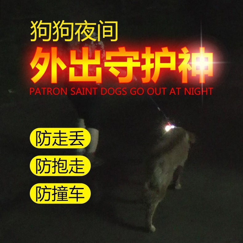 狗狗夜间出行防走失遛狗专用发光吊坠闪光挂坠宠物配饰吊牌夜光灯|undefined