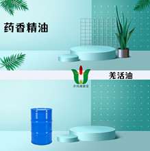 ��ș�㾫�͡�Ǽ���Ǽ�NOTOPTERYGIUM INCISUM����ȡ��