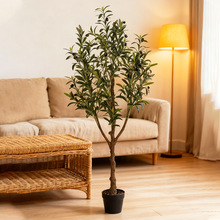 �羳�����ϙ�����ԾG�����̾��^�����ϙ���҃ȴ��;Gֲ��ؔ[��