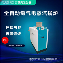 �����l�������͵�ȼ��ȼ��늼ӟ���b�Sϴ��ӡȾ�٠CʳƷ����偠t