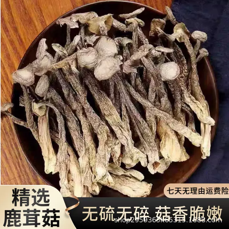 鹿茸菇源头工厂批发脆脆菇新货菌菇干货食用菌肉质鲜嫩煲汤炒菜