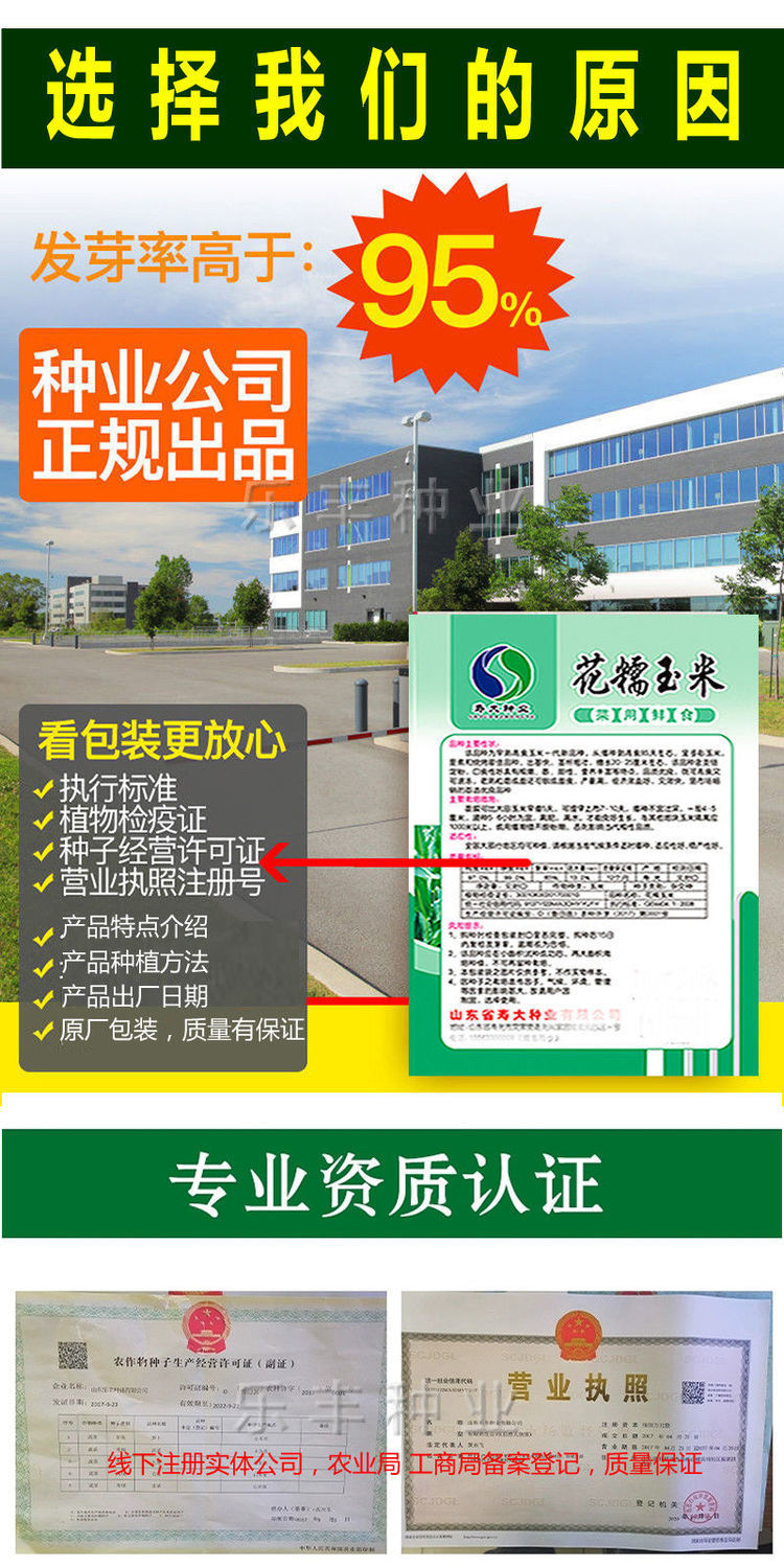 217bbe723639fe84dabd20bf63561a