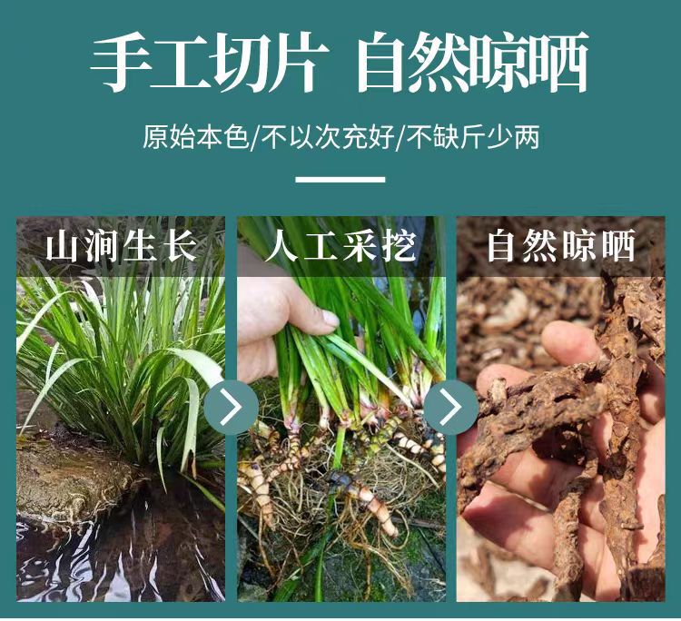 Shi Chang Pu Powder (Acori Tatarinowii Rhizoma) — Wild-Harvested Aromatic Herb, 500g key features