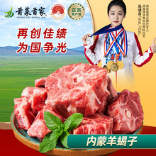 首菜首家羊蝎子火锅食材羊肉草原散养加肉脖骨切块涮锅羊汤
