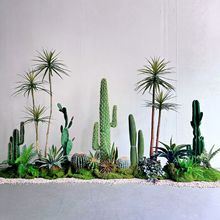仿真绿植造景组合仙人掌仙人柱剑麻龙血树餐厅沙漠植物露营风景观