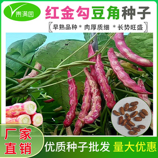 ���l�|���t���h���ǷN�ӷN�ќϱⶹܿ���t�����ļ��S���h�Ͷ�