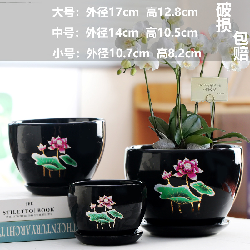 ชุดดอกไม้ Epiphyllum 3 ชิ้น