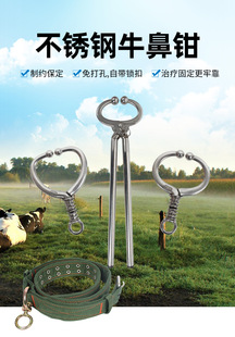 ���iʽţ�ñ��Q�F�ñǿ�ˮţ�ǿ��Qţ���Q����������ţ���Q������