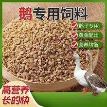 53543434鹅饲料喂鹅小鹅开口肉鹅育肥颗粒全价料养殖场