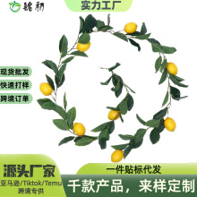 ���晎���ٗl���ʒ�� �羳�����Ҿ�ˮ���bGֲ���ٙ����ٗl