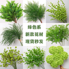 �Gɫ��ɭϵ�Gֲ���~�ӻ��Ų廨���ֲ���c�����b�ˇ�ٻ�