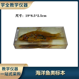 教学演示用品;教学仪器;生物教学器材